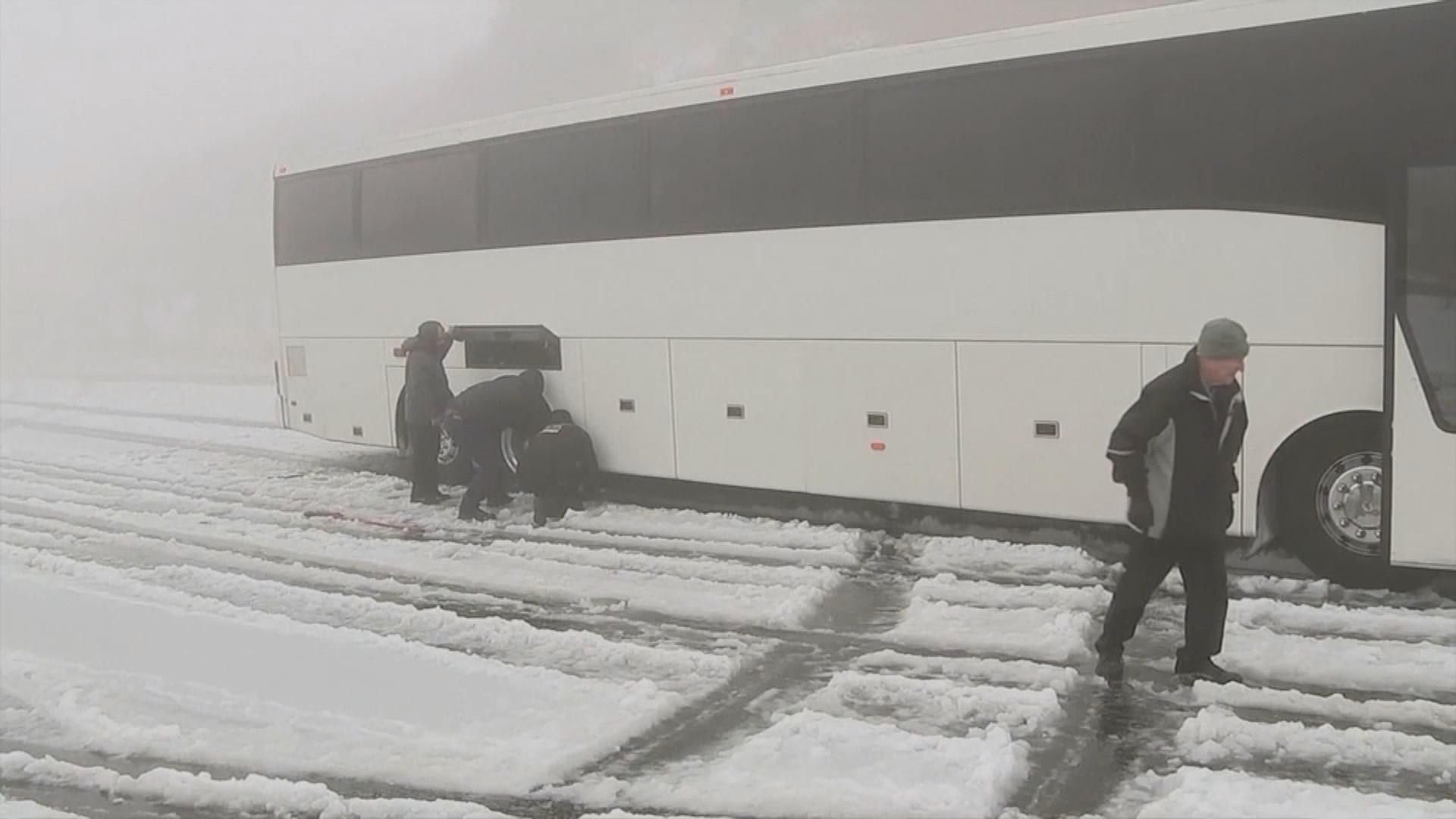 Сонячну Каліфорнію неочікувано засипало снігом: вражаючі фото та відео Сонячну Каліфорнію неочікувано засипало снігом: вражаючі фото та відео