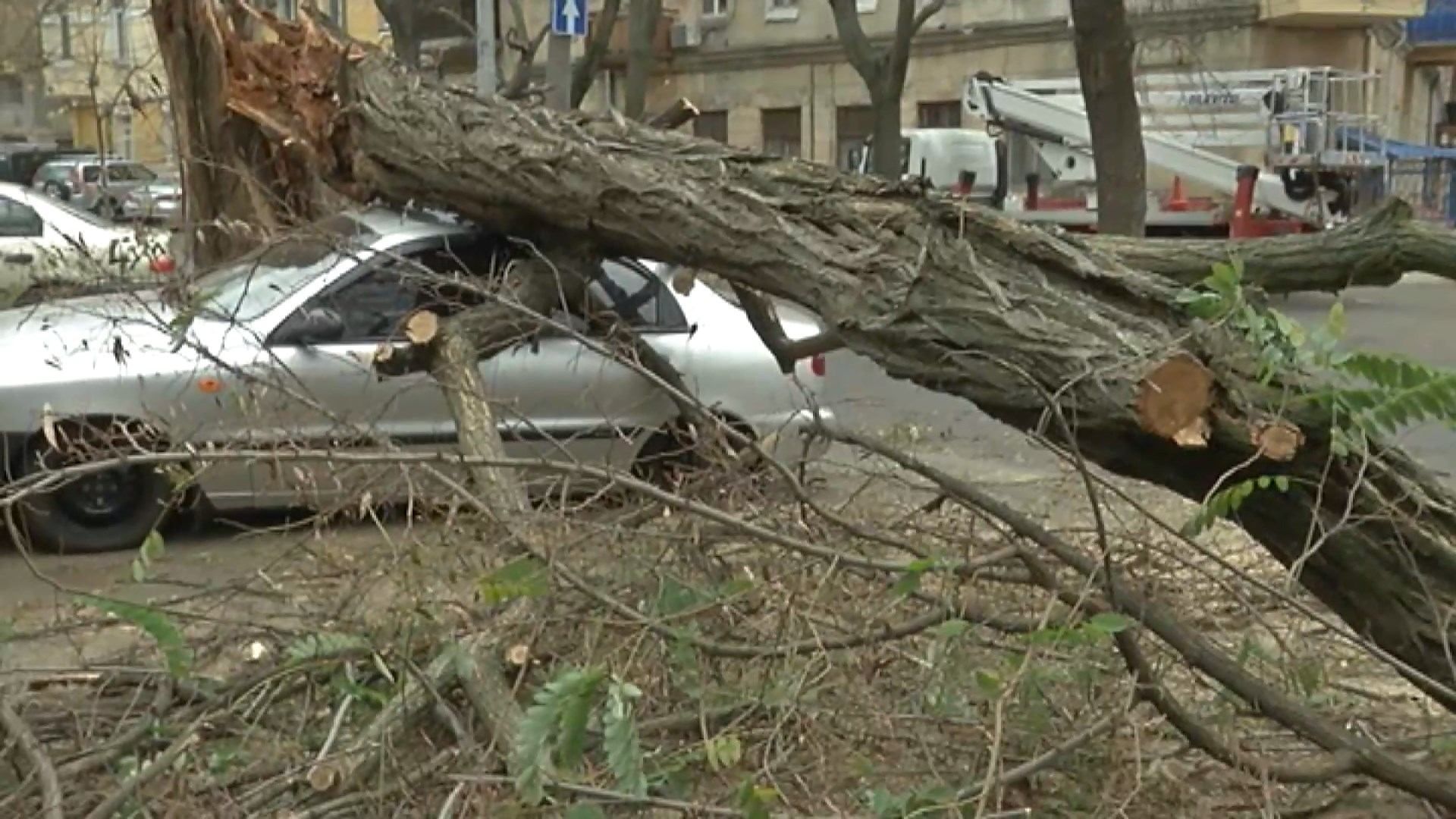 Вітер обірвав електромережі та повалив дерева на припарковані авто в Одесі: фото
