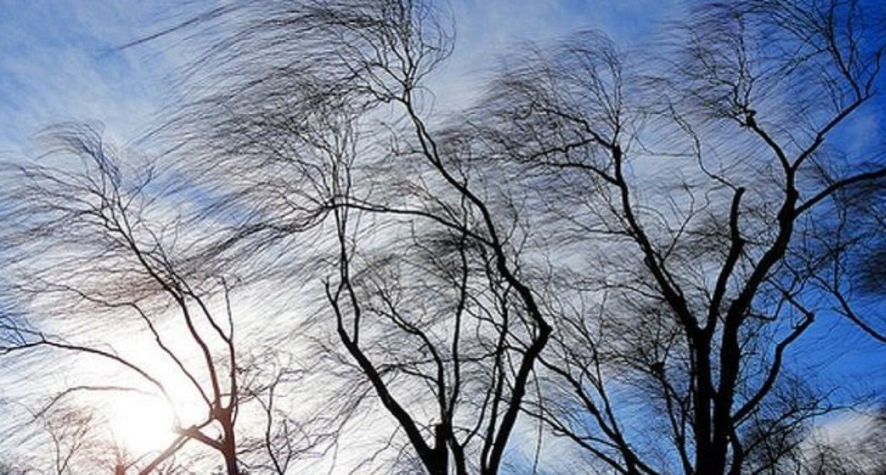 Погода 23 ноября 2019 Украина – будет еще холоднее Погода 23 ноября 2019 Украина – будет еще холоднее