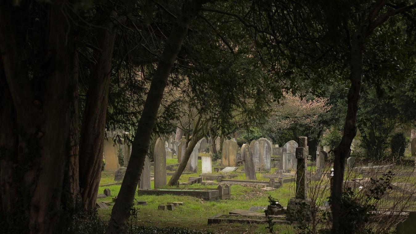 У США під школою знайшли кладовище – будівлю знесуть: відео У США під школою знайшли кладовище – будівлю знесуть: відео