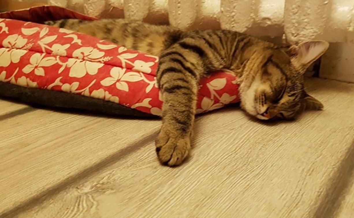 У Новий Розділ та Новояворівськ подали тепло У Новий Розділ та Новояворівськ подали тепло