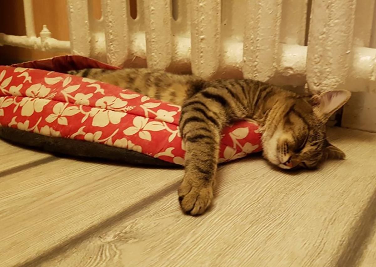 В Новый Роздол и Новояворовск подали тепло В Новый Роздол и Новояворовск подали тепло