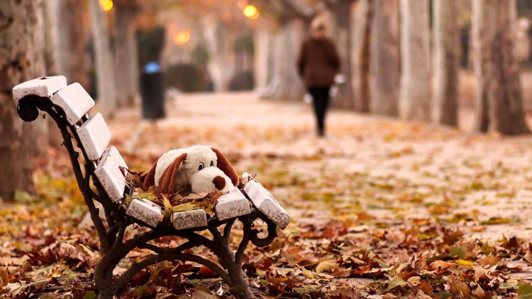 Як боротися з сезонною депресією Як боротися з сезонною депресією