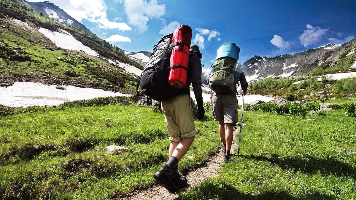 Коледж у США прийме на навчання студента, який пройде стежку Аппалачі: відео Коледж у США прийме на навчання студента, який пройде стежку Аппалачі: відео