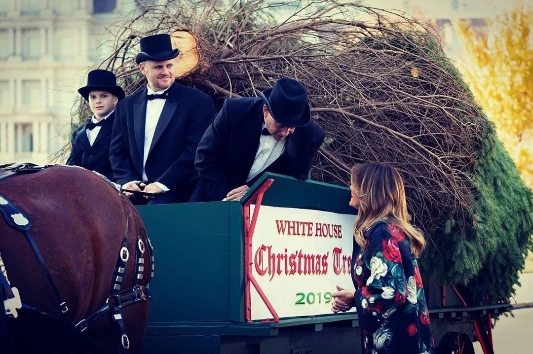 Меланія Трамп зустріла новорічну ялинку Меланія Трамп зустріла новорічну ялинку