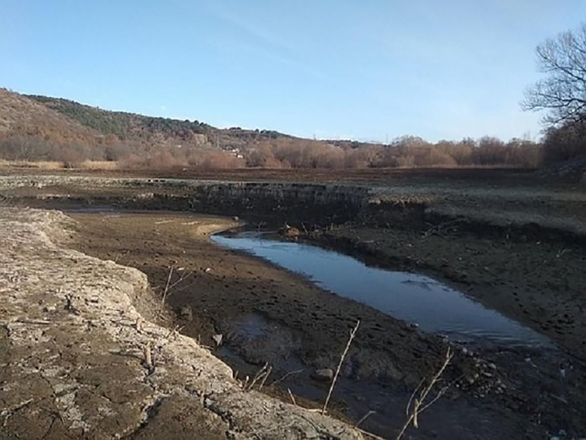 У мережі показали фото сумних наслідків екокатастрофи в Криму