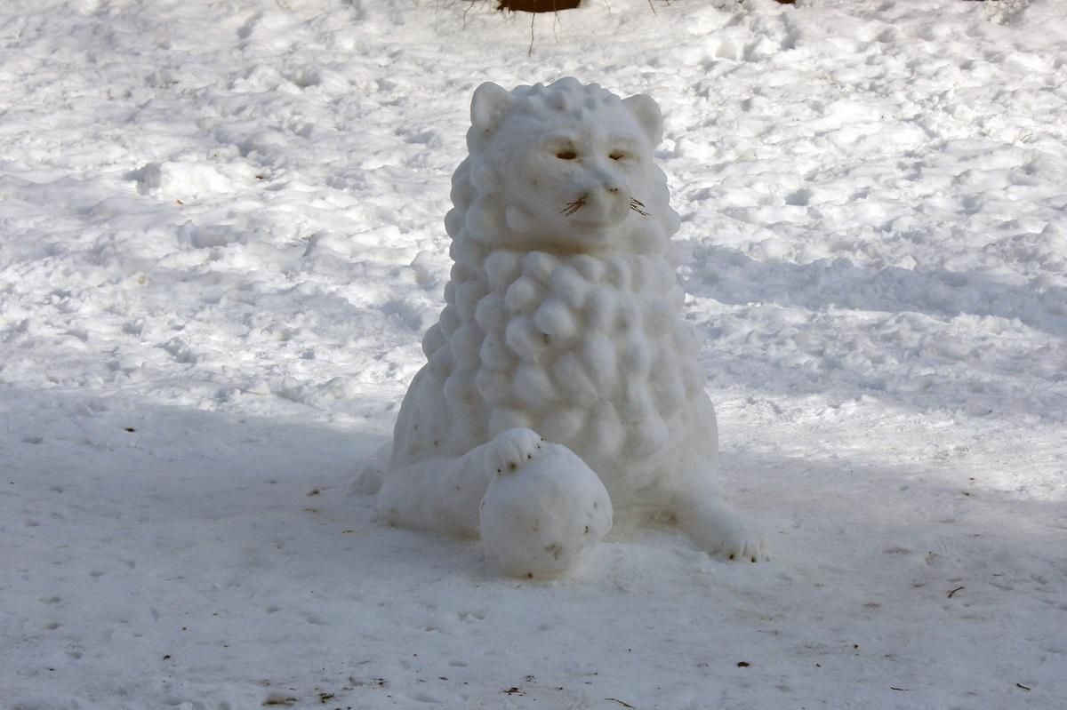 Какой будет зима в Украине в 2019-2020 – прогнозы погоды Какой будет зима в Украине в 2019-2020 – прогнозы погоды