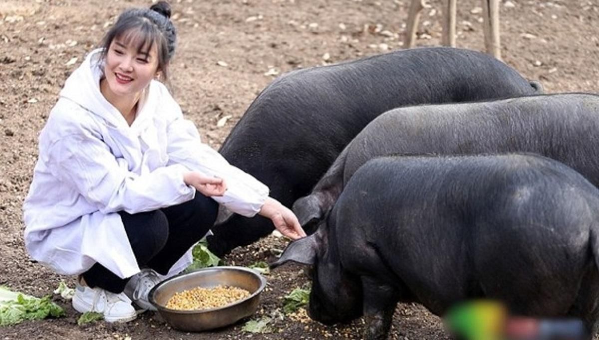 Китаец подарит 300 свиней мужчине, который возьмет замуж его дочь: фото девушки