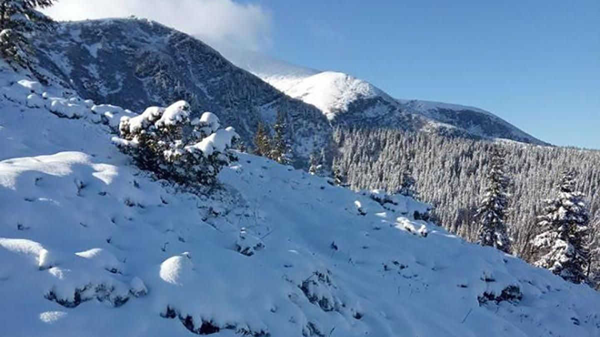 Снег в Карпатах 2 декабря 2019 фото, видео Снег в Карпатах 2 декабря 2019 фото, видео