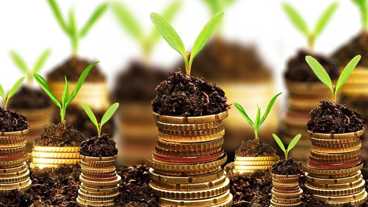 Референдум про продаж землі іноземцям в Україні буде у 2020 році Референдум про продаж землі іноземцям в Україні буде у 2020 році