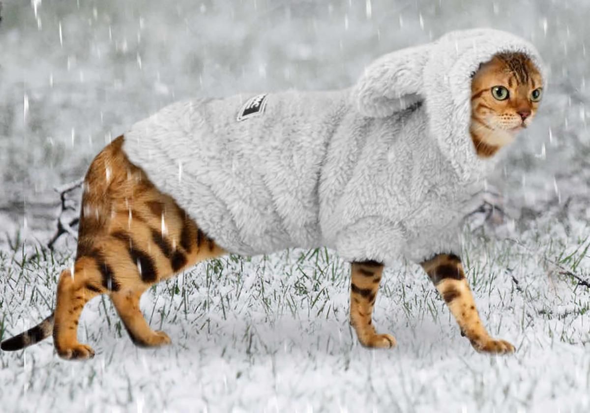 Погода 4 декабря 2019 Киев, Львов, Одесса и города Украины – синоптик Погода 4 декабря 2019 Киев, Львов, Одесса и города Украины – синоптик