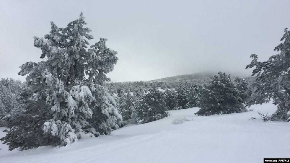 Гору Ай-Петри в оккупированном Крыму засыпало снегом: сказочные пейзажи Гору Ай-Петри в оккупированном Крыму засыпало снегом: сказочные пейзажи