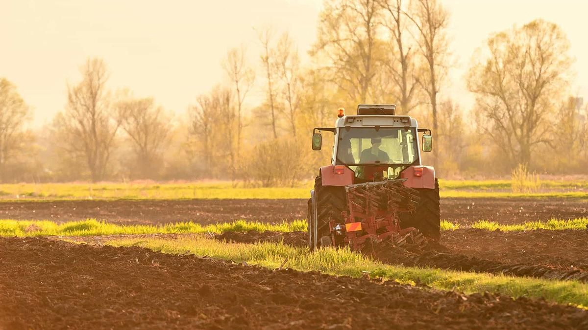 Рынок земли в Украине 2020: экономика Украины вырастет Рынок земли в Украине 2020: экономика Украины вырастет