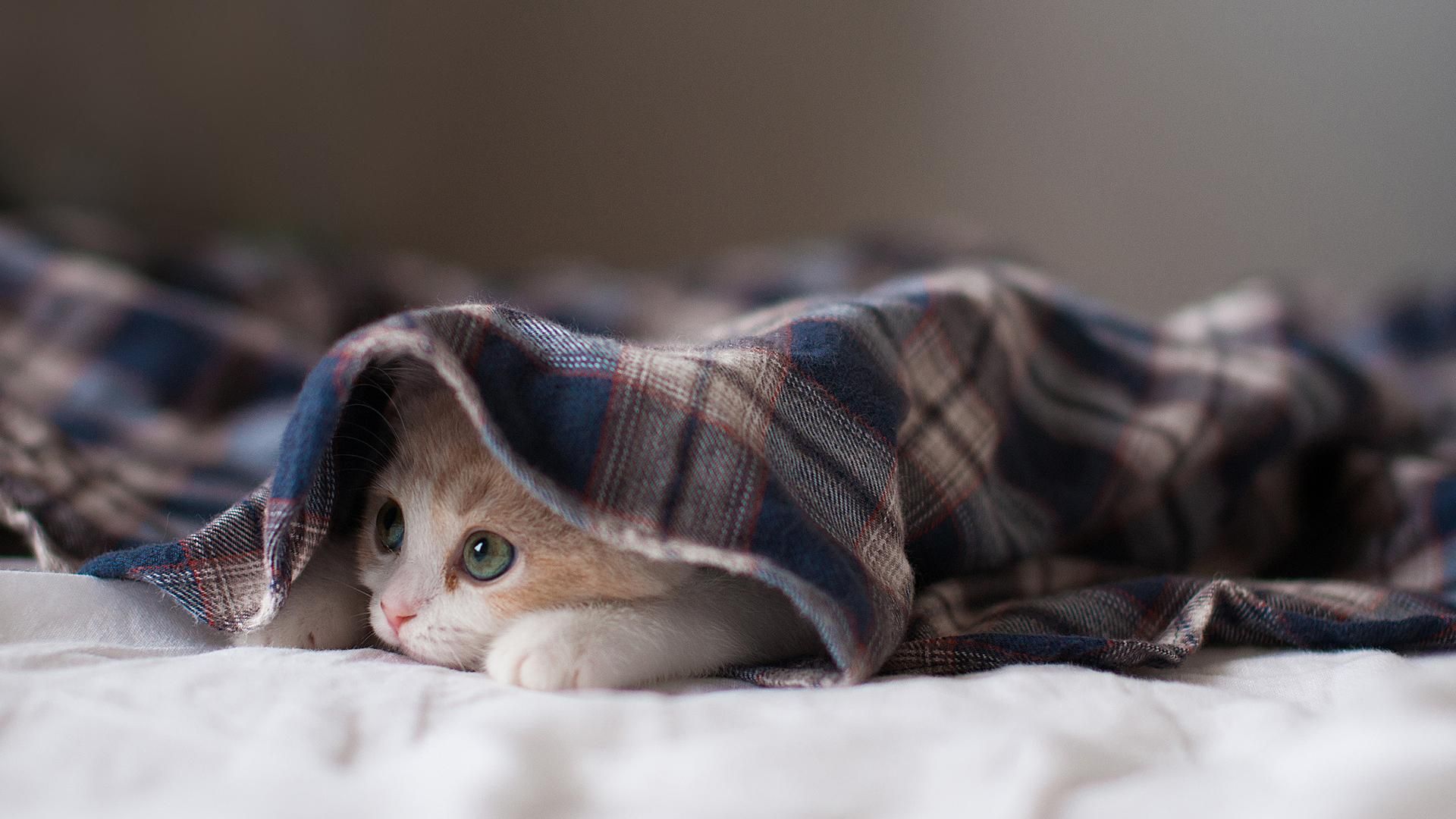 Погода 9 декабря 2019 Украина – прогноз погоды от синоптика Погода 9 декабря 2019 Украина – прогноз погоды от синоптика