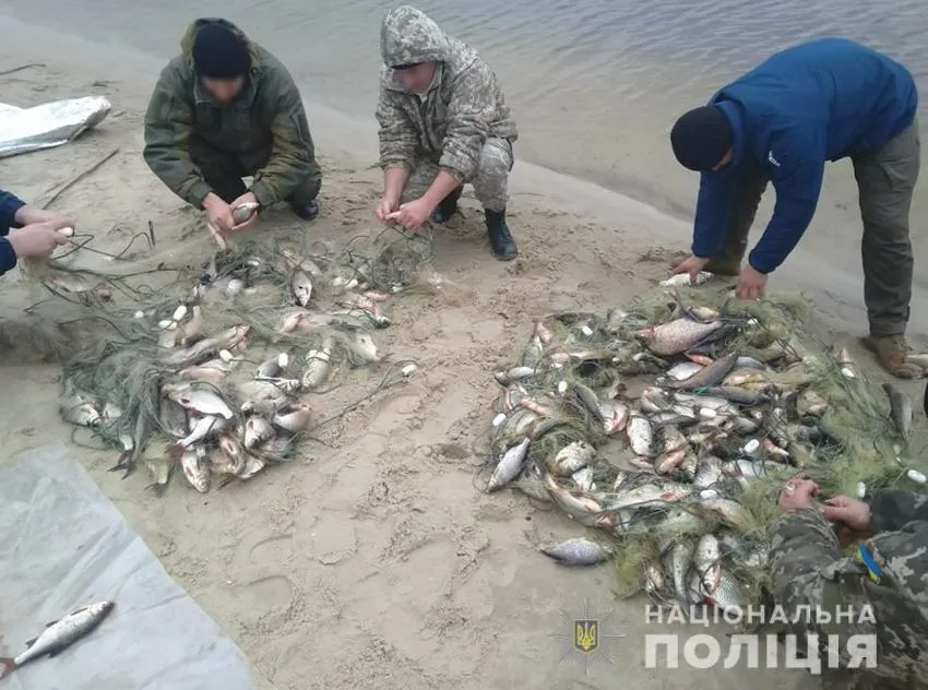 риба дснс черкаси риба дснс черкаси