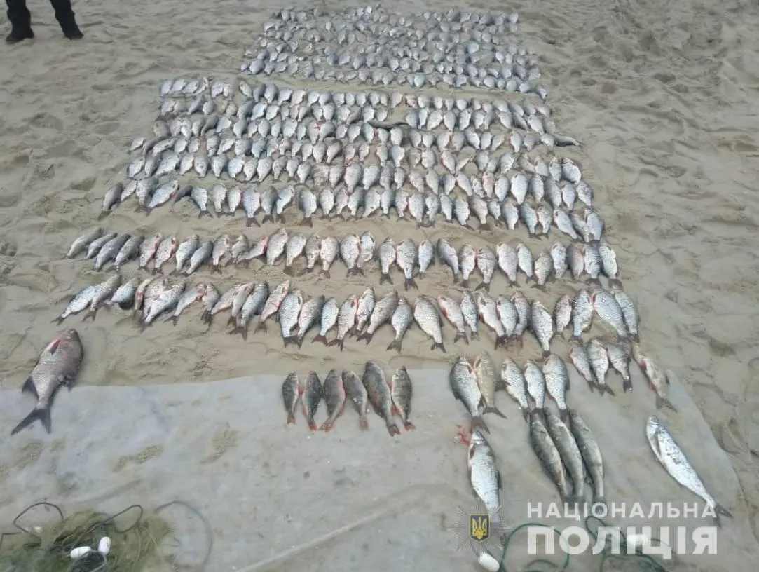 черкаси риба рибоохоронний контроль черкаси риба рибоохоронний контроль