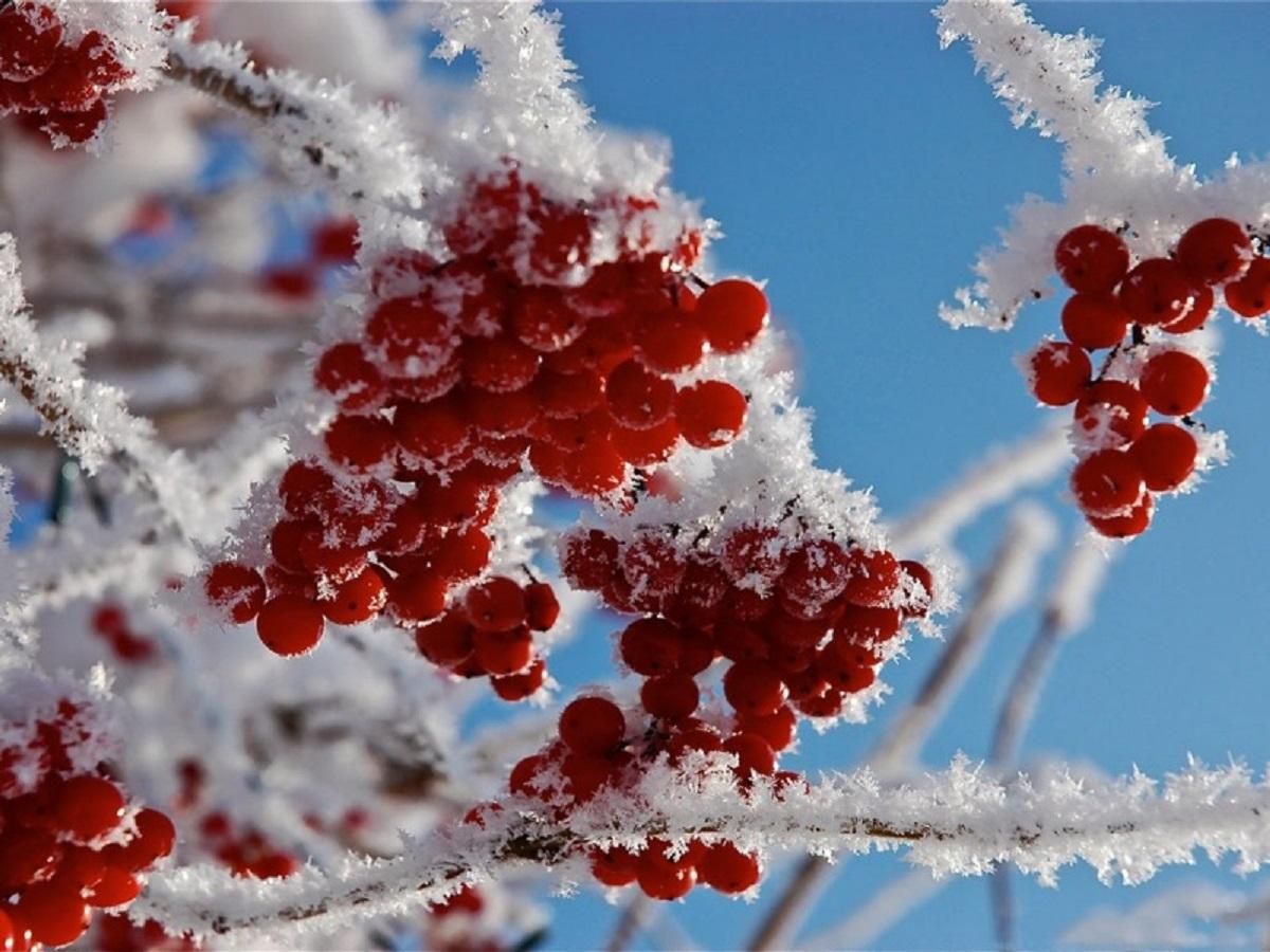 Погода 12 грудня 2019 Україна – прогноз погоди від синоптика