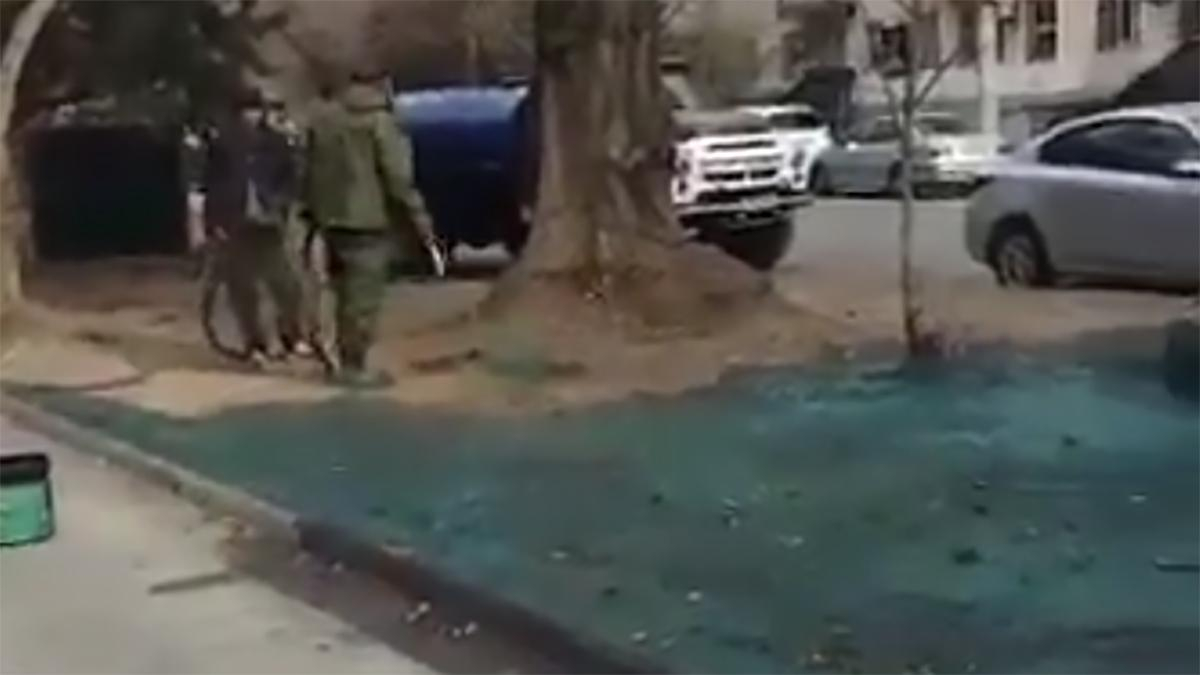 В Симферополе землю покрасили в зеленый цвет: курьезное видео