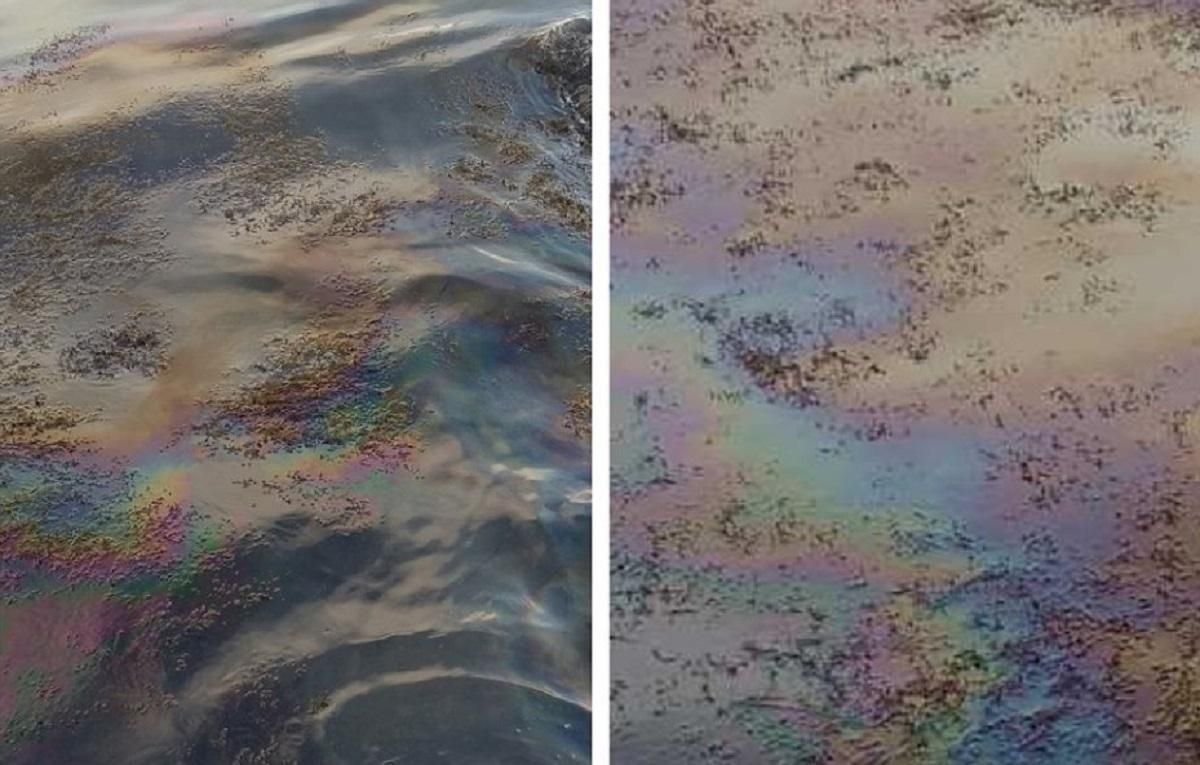 В аннексированном Крыму – новое эко-бедствие: море покрылось нефтяной пленкой – фото В аннексированном Крыму – новое эко-бедствие: море покрылось нефтяной пленкой – фото