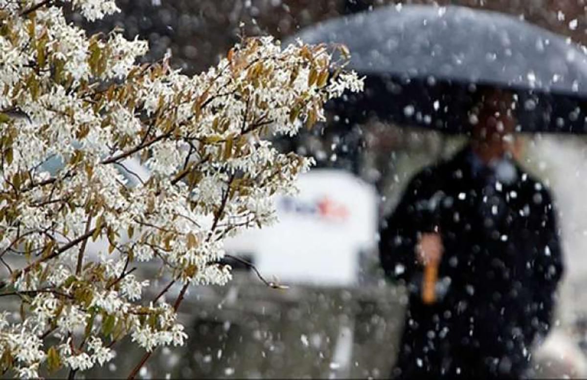 Погода 14 декабря 2019 Украина – прогноз погоды от синоптика Погода 14 декабря 2019 Украина – прогноз погоды от синоптика