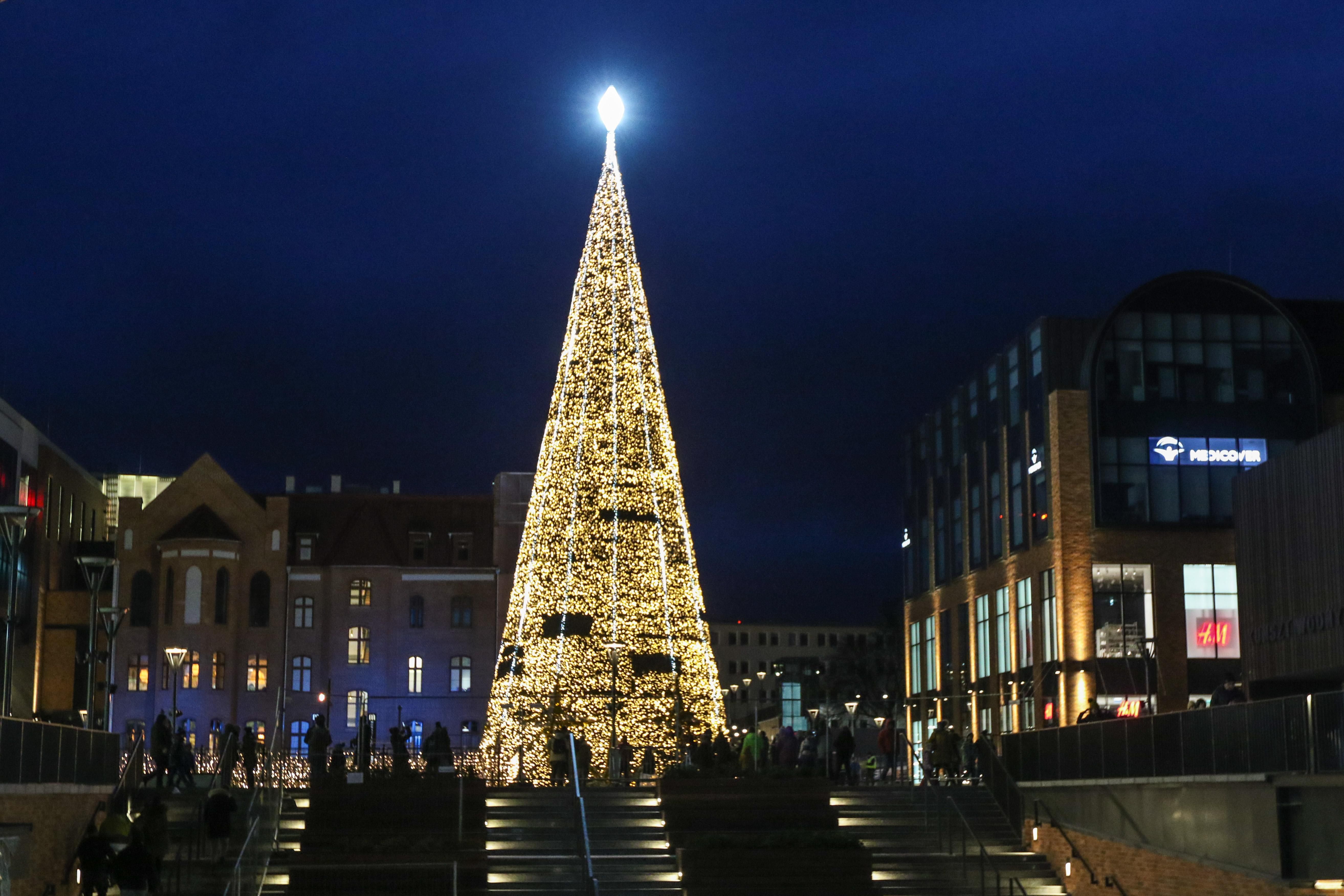 Новый год 2020: лучшие елки мира Новый год 2020: лучшие елки мира