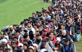 Канада приглашает миллион мигрантов: будут помогать развивать государство