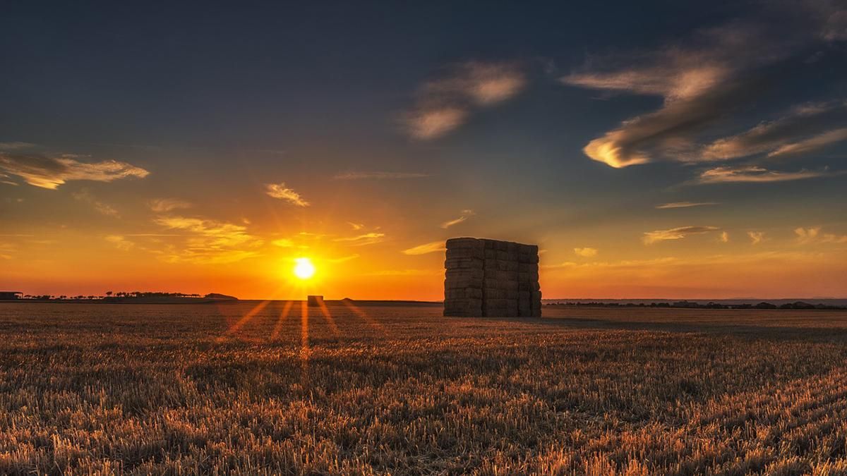 Рынок земли в Украине: закон № 2178-10 - что изменилось Рынок земли в Украине: закон № 2178-10 - что изменилось