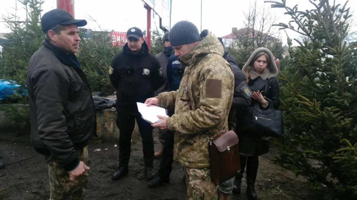 операція ялинка операція ялинка