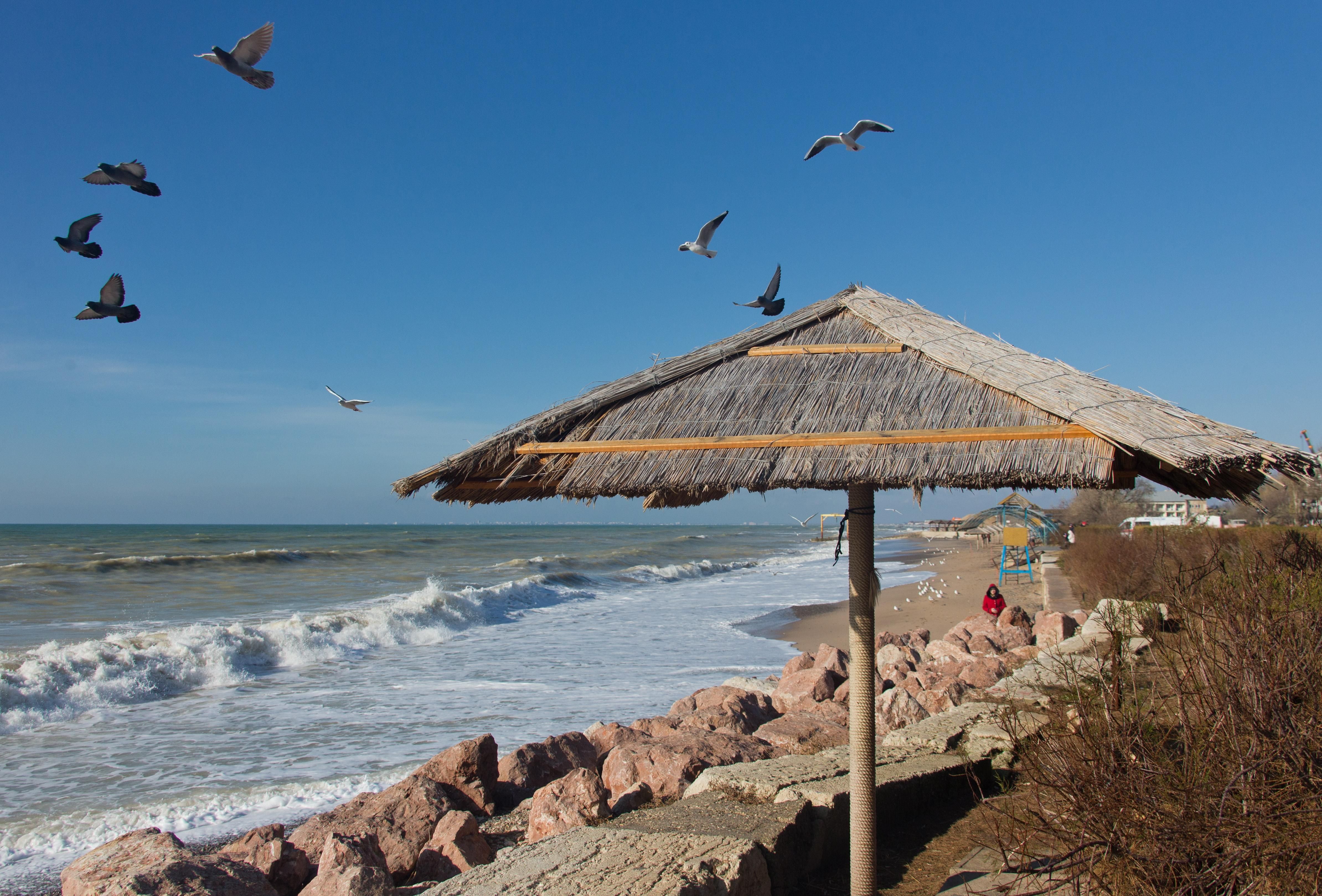 Узбережжя Криму Узбережжя Криму