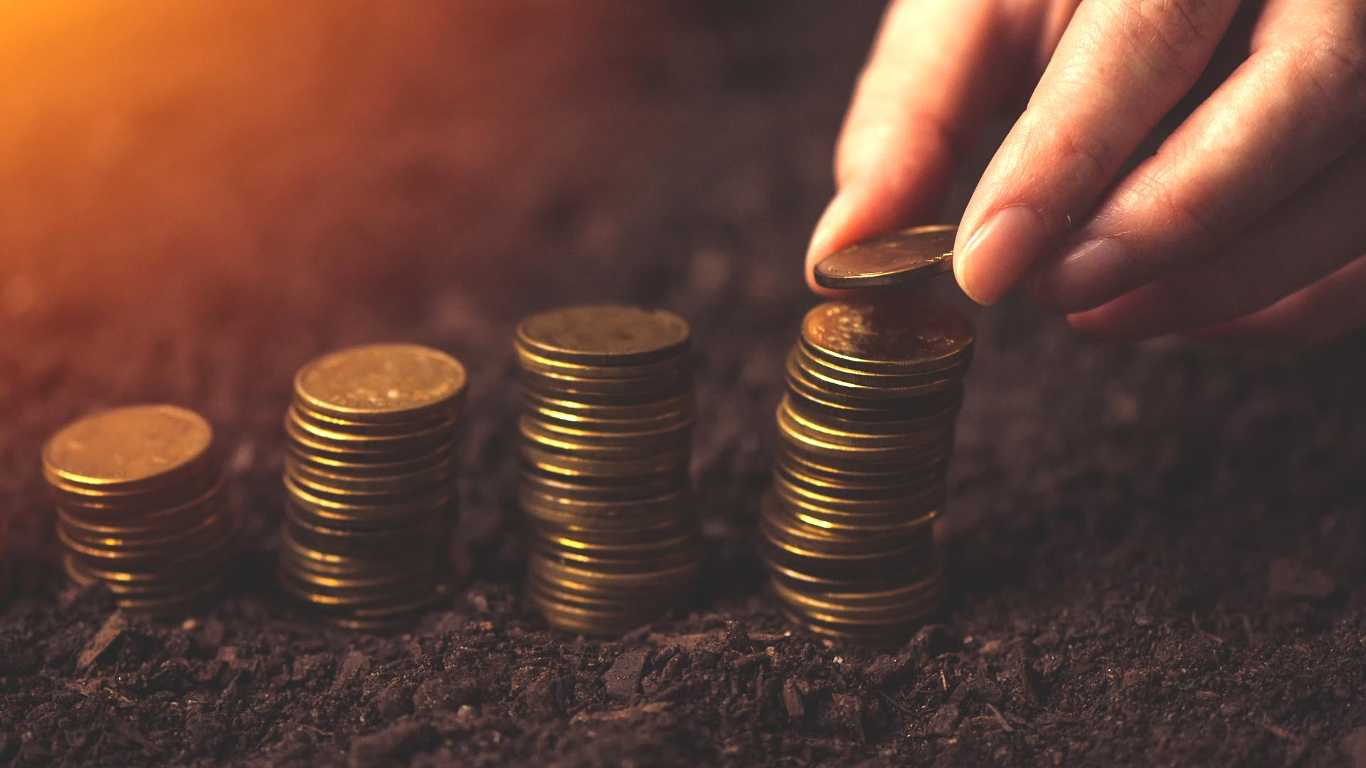 В Кабмине хотят изменить налог на землю: кто от этого выиграет и что это значит