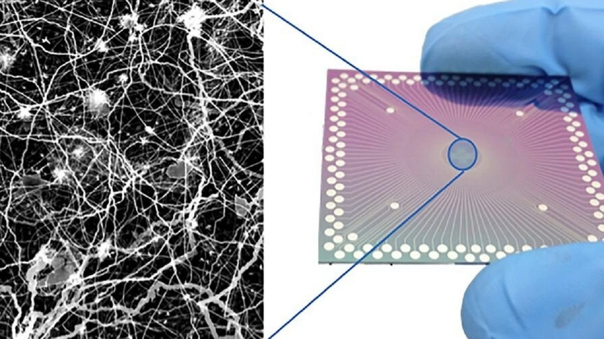 Ученые сделали важный шаг к созданию машин, способных "думать" Ученые сделали важный шаг к созданию машин, способных "думать"