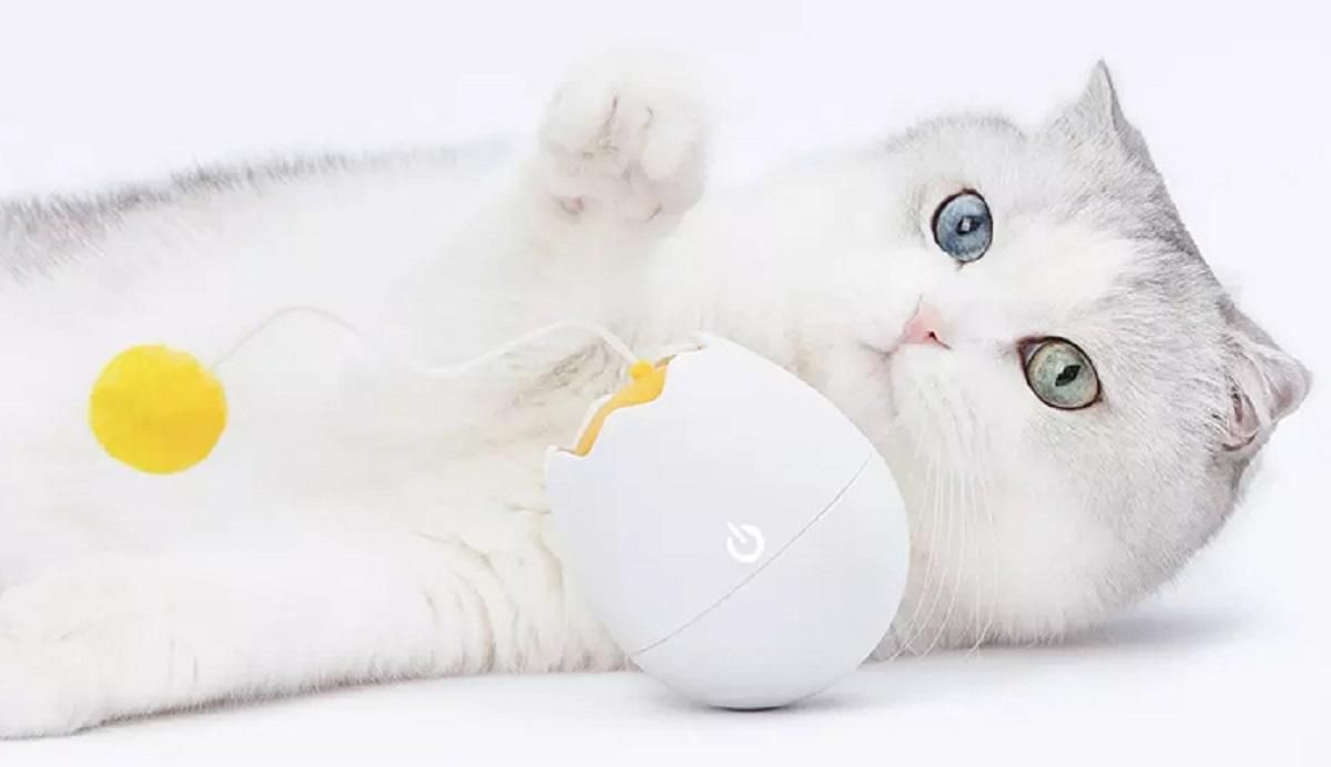 Xiaomi выпустила интерактивную игрушку для кошек