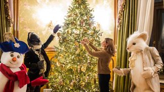 Елена Зеленская украсила новогоднюю елку: эффектное фото первой леди