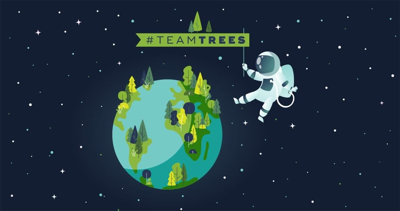 TeamTrees: звезды YouTubeсобрали 20 миллионов долларов, чтобы посадить 20 миллионов деревьев