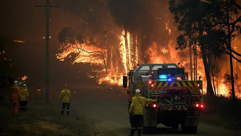 Пожежі в Австралії 2019