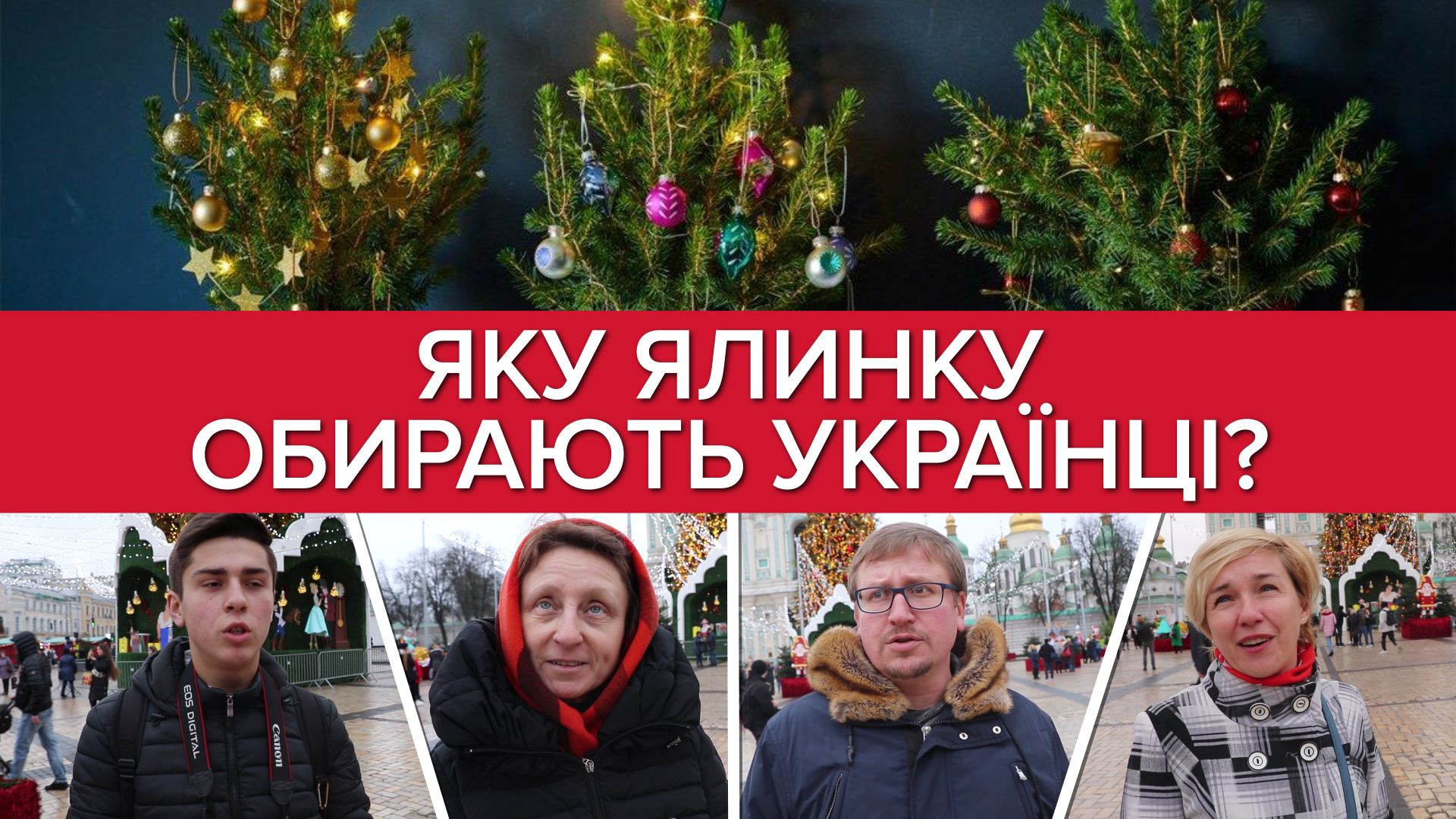 Какую елку выбирают украинцы: искусственную или живую?