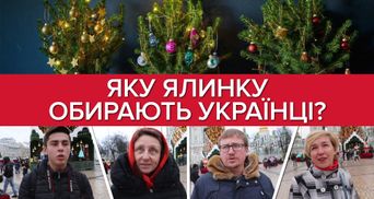 Какую елку выбирают украинцы: искусственную или живую?
