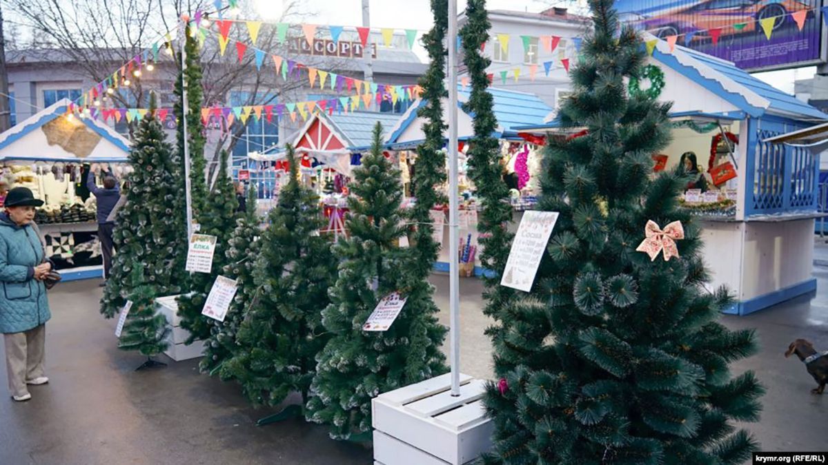 Штучні ялинки у Криму з Івано-Франківщини: фото Штучні ялинки у Криму з Івано-Франківщини: фото