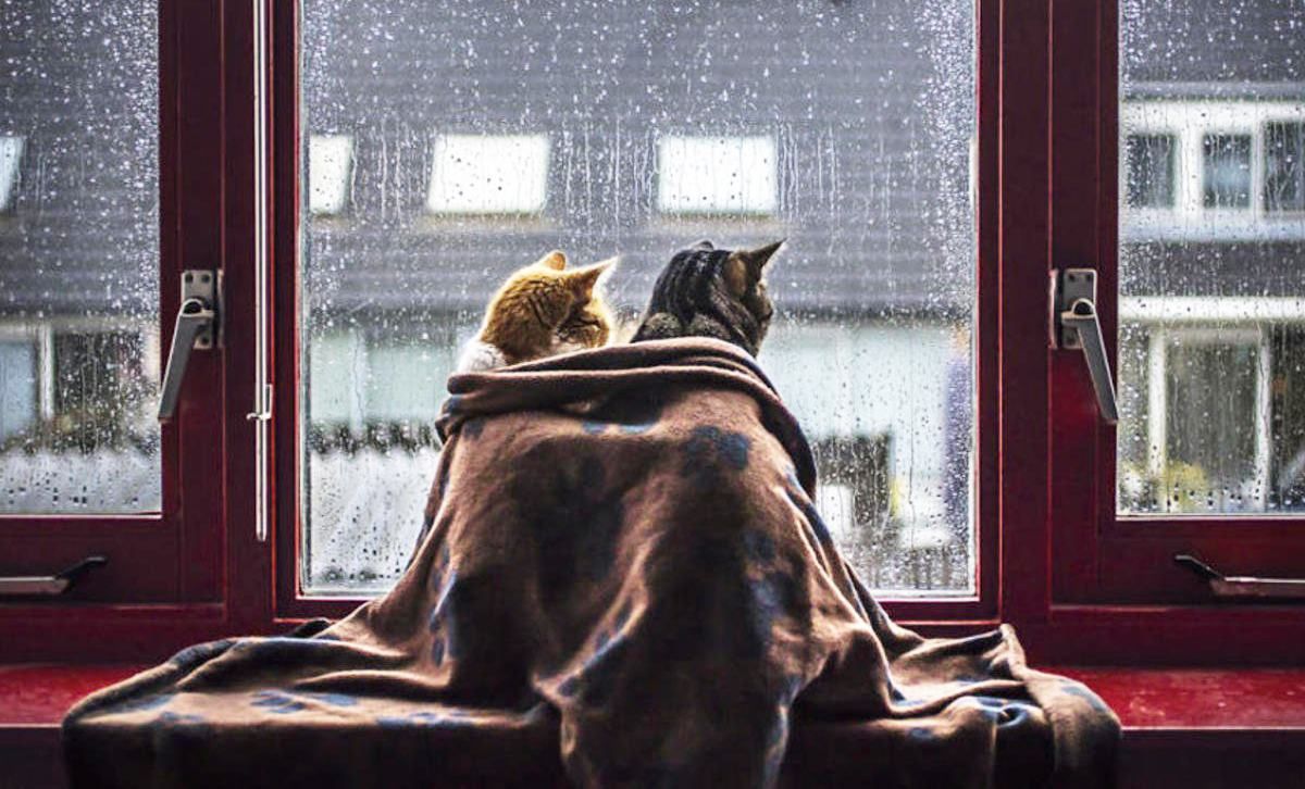 Погода 27 грудня 2019 Україна – яку погоду обіцяє синоптик Погода 27 грудня 2019 Україна – яку погоду обіцяє синоптик