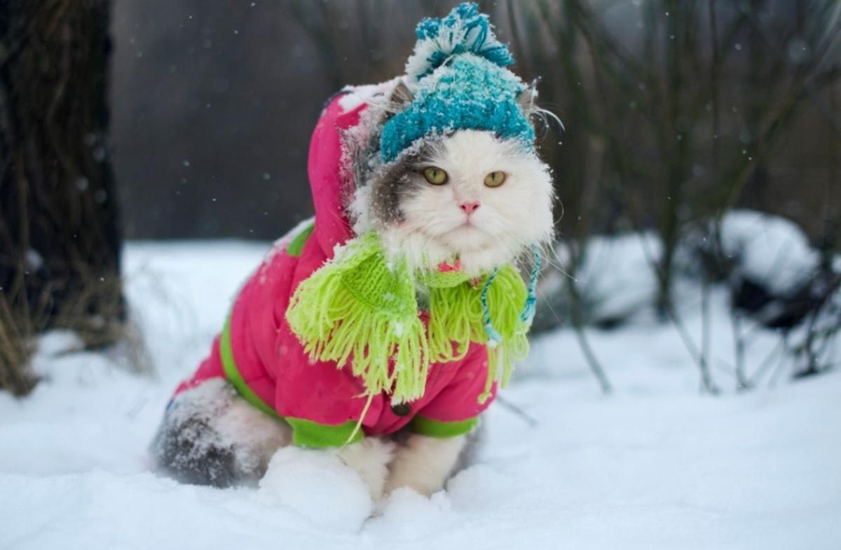 Погода 29 декабря 2019 Украина – какую погоду обещает синоптик Погода 29 декабря 2019 Украина – какую погоду обещает синоптик