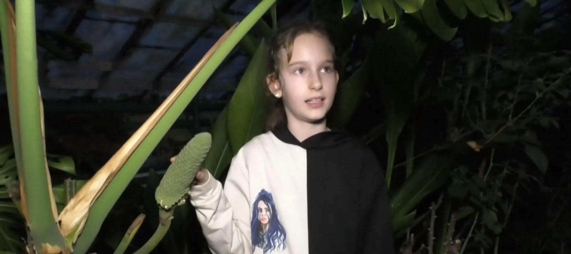 дівчинка рослина екзотика школярка школа дівчинка рослина екзотика школярка школа