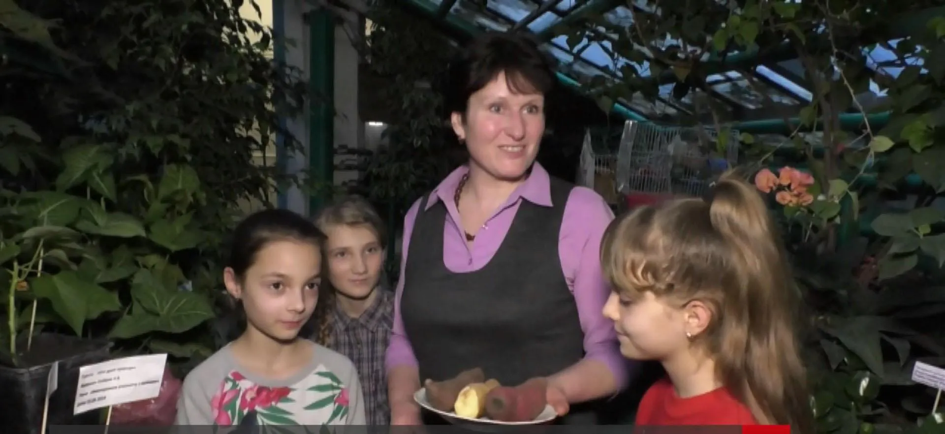 вчитель, учні, екзотика, рослини, вирощування вчитель, учні, екзотика, рослини, вирощування