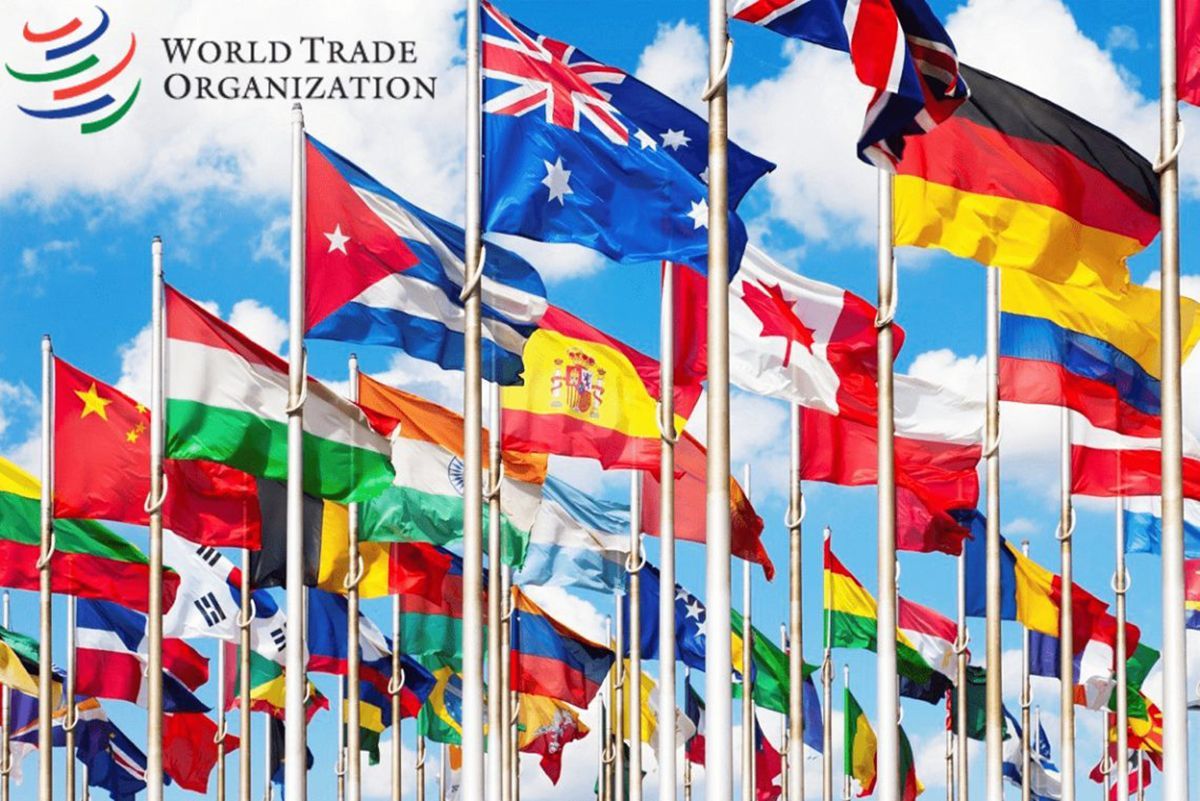Які країни отримують найбільше вигоди від Світової організації торгівлі: інфографіка