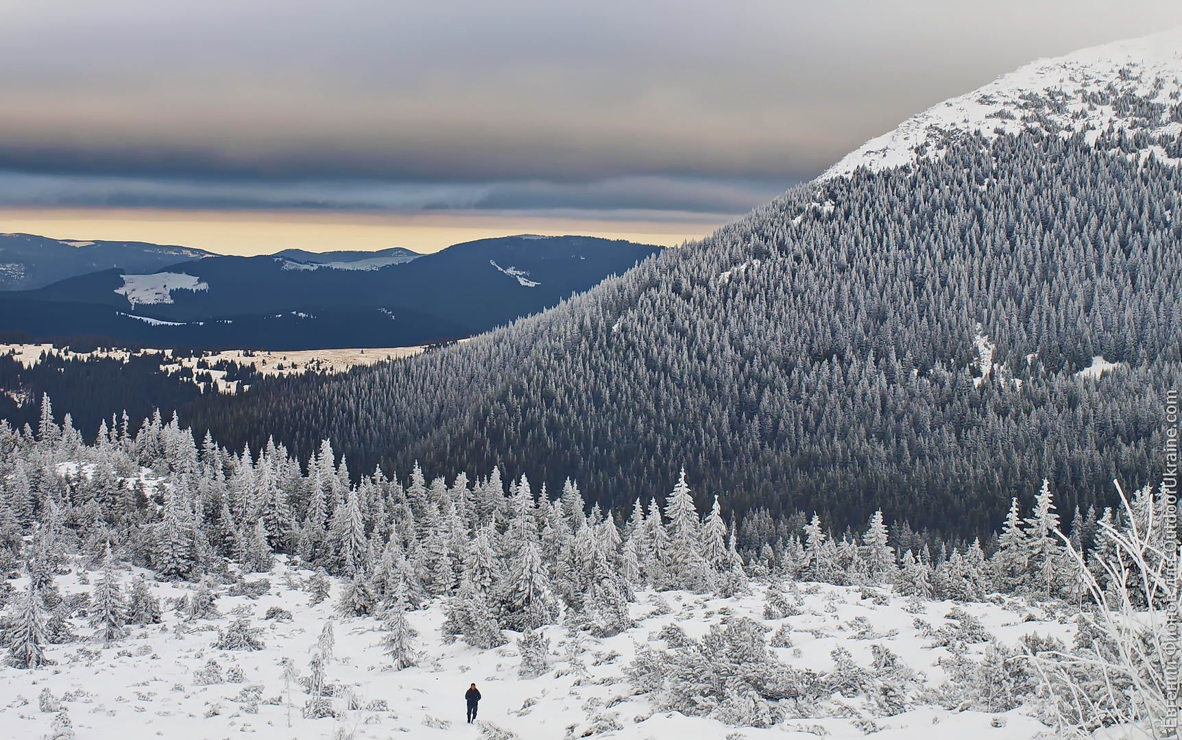 Накануне Нового года в Карпатах пришлось спасать 12 туристов: что случилось Накануне Нового года в Карпатах пришлось спасать 12 туристов: что случилось