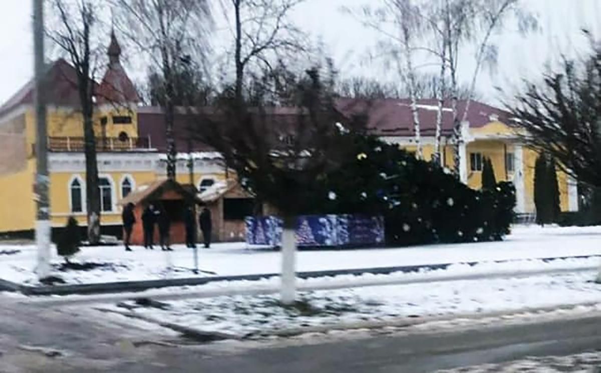 Головну новорічну ялинку Дунаївців на Хмельниччині здуло вітром: фото