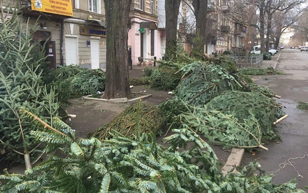 Кладовища ялинок: міста України завалені непроданими деревами – фото