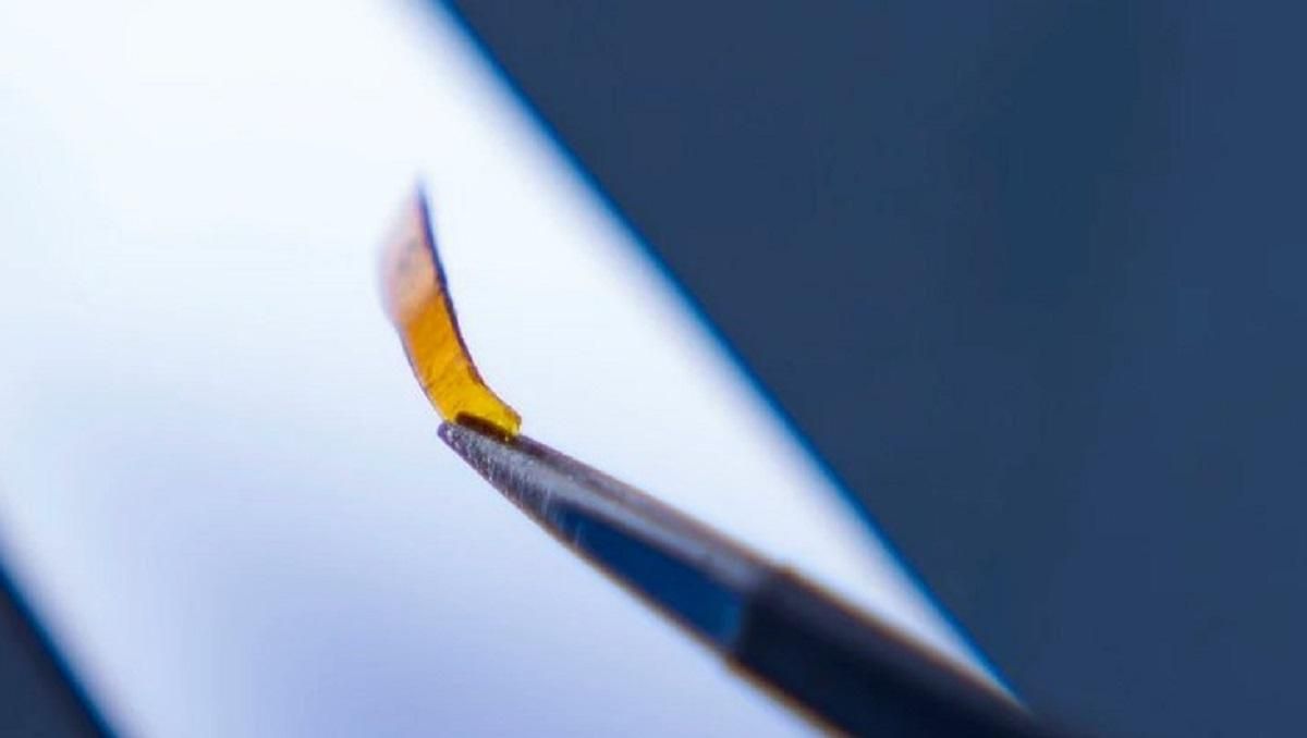 Созданы "искусственные мышцы" для роботов будущего Созданы "искусственные мышцы" для роботов будущего