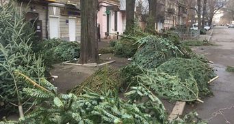 Кладбища елок: города Украины завалены непроданными деревьями - фото