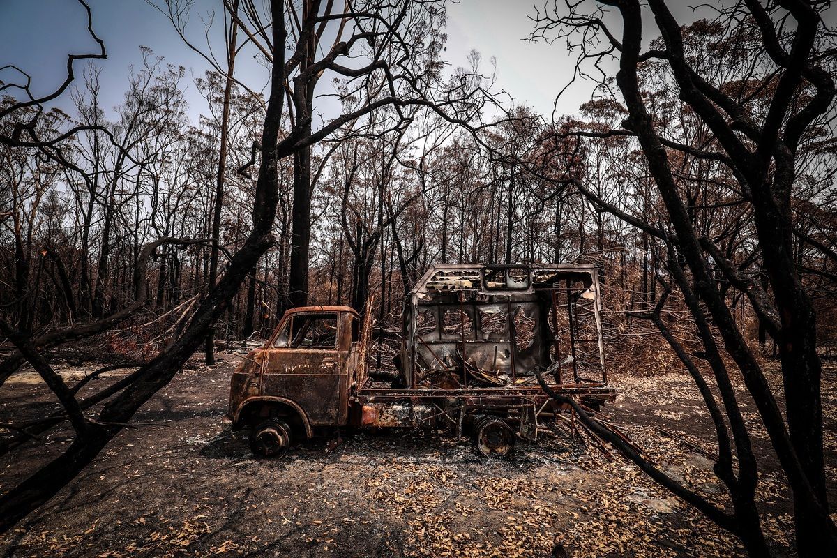 Пожары в Австралии 2020 – фото лесных пожаров на сейчас