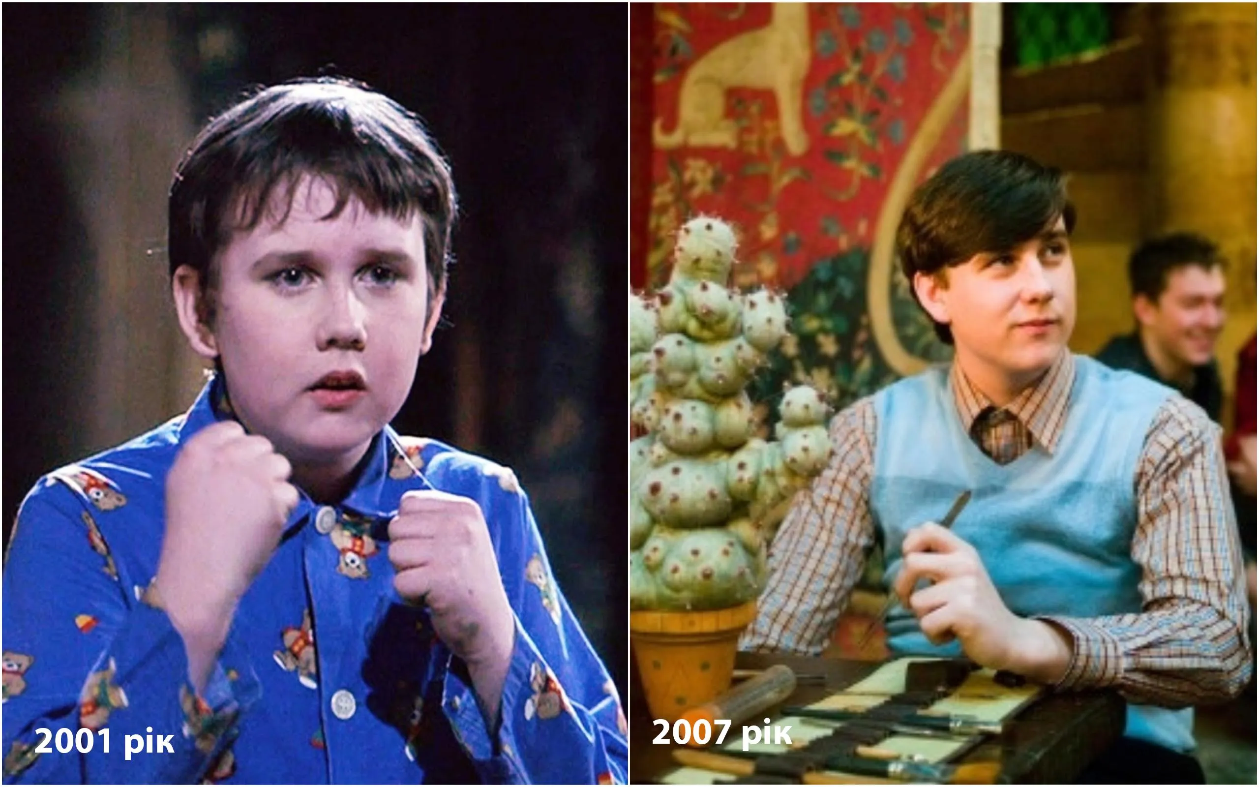 Гаррі Поттер Гаррі Поттер